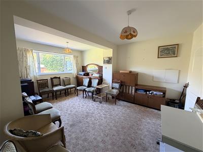 Picture 11